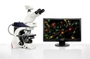 Microscopio Leica DM2500