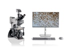 Microscopio Leica Visoria B