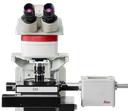 Sistema Confocal Leica Stellaris 5