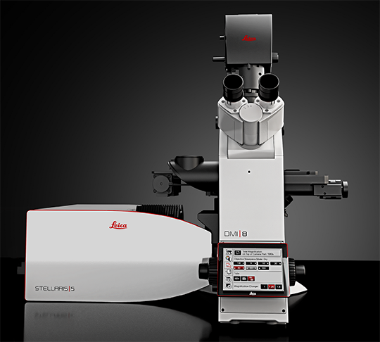 Sistema Confocal Leica Stellaris 5