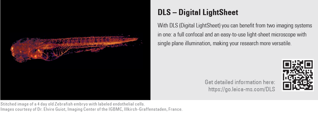 Sistema Confocal Leica Stellaris 8