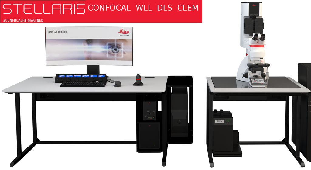 Sistema Confocal Leica Stellaris 5