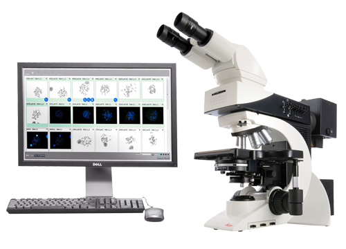 Sistema CytoInsight DM 2500